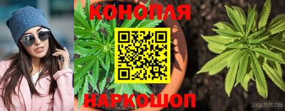 мяу мяу кристалл Тверь