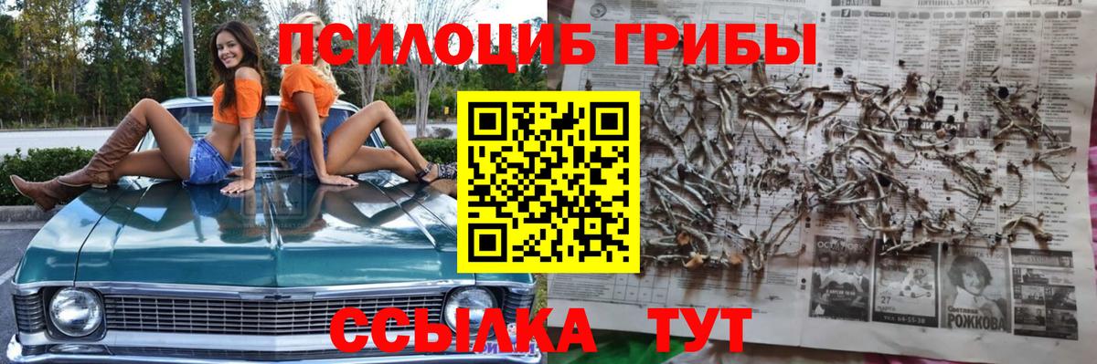 Баксан  Галлюциногенные грибы мухоморы  где можно купить   Вход с VPN  Галлюциногенные грибы мицелий 