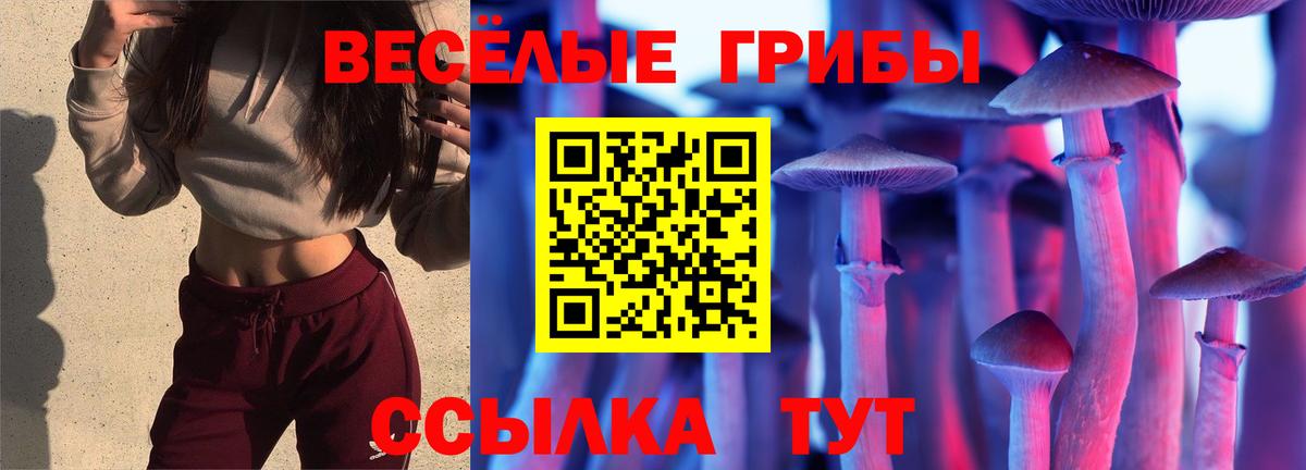 Псилоцибиновые грибы GOLDEN TEACHER Баксан